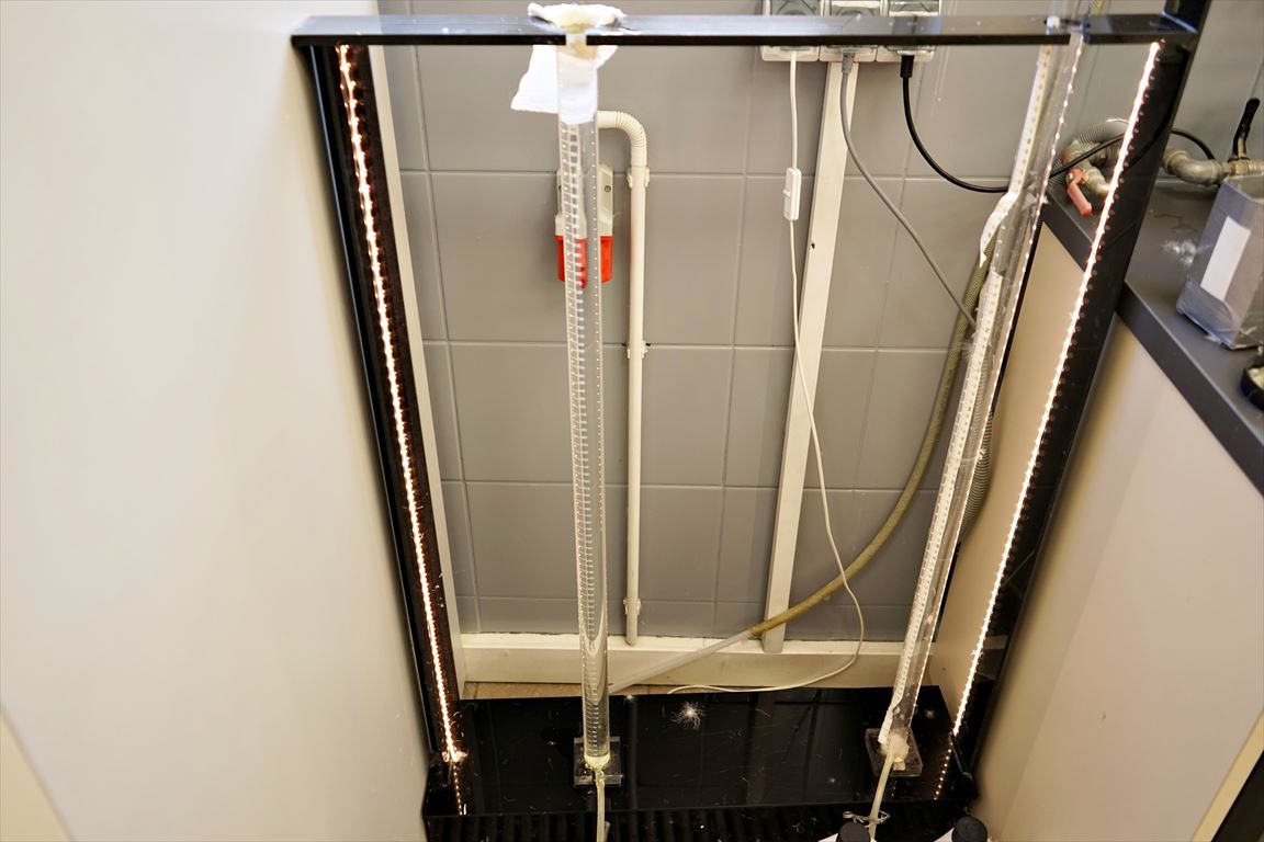 羽毛の種類と選び方 | グートン オンラインショップ